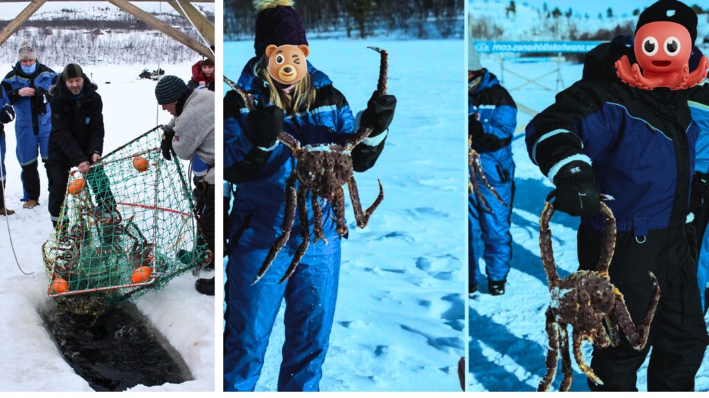 Chloe and Michael dressed in winter gear, riding across a frozen fjord during their Kirkenes Crab safari tour from Rovaniemi.